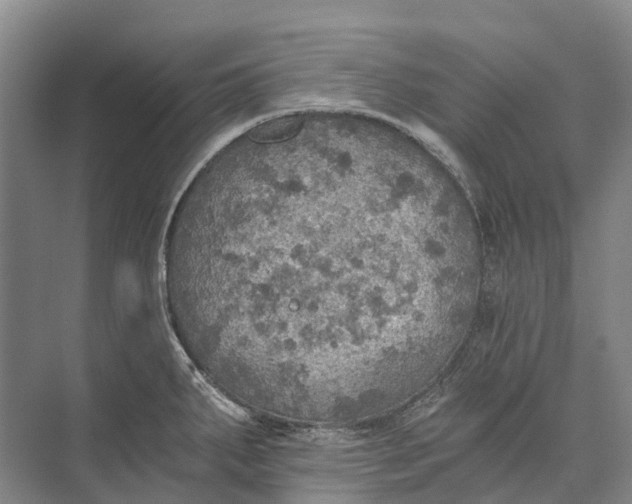 X0000072931287200608041206