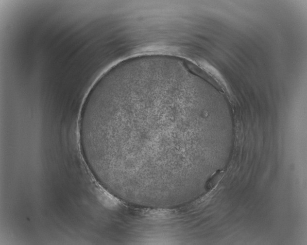 X0000072931288200608041206