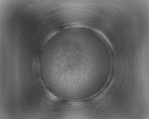 X0000072931289200608041206