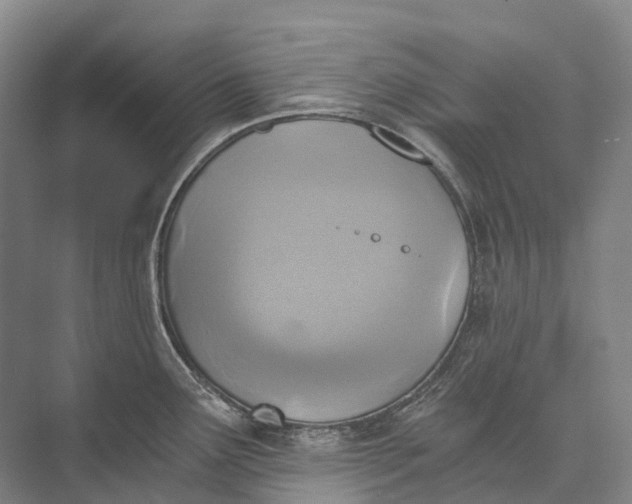 X0000072931291200608041206