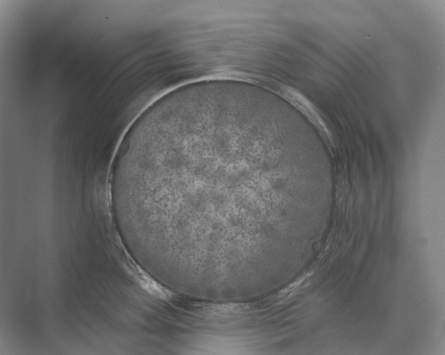 X0000072931292200608041206