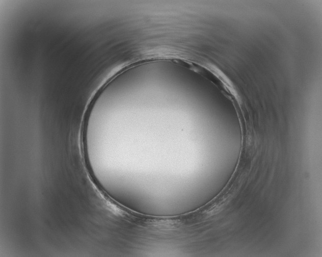 X0000072931293200608041206