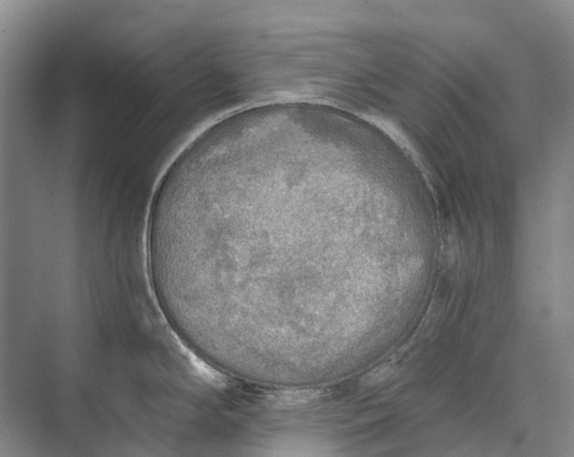 X0000072931294200608041206