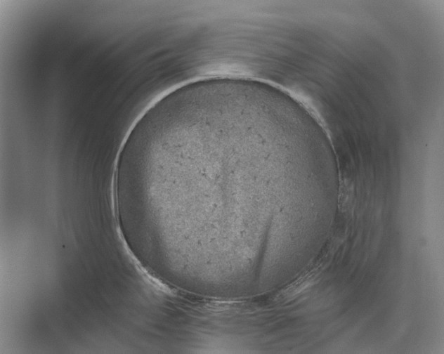 X0000072931295200608041206