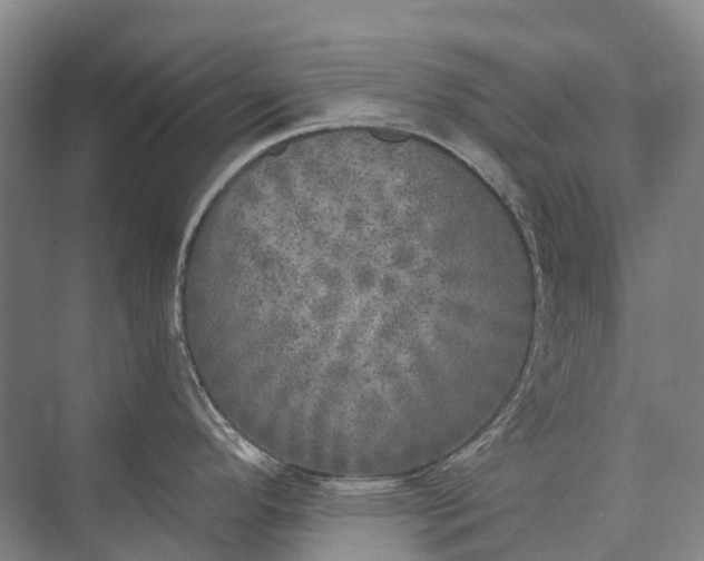 X0000072931296200608041206