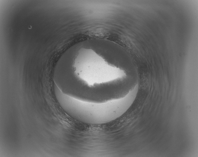 X0000072931297200608041205