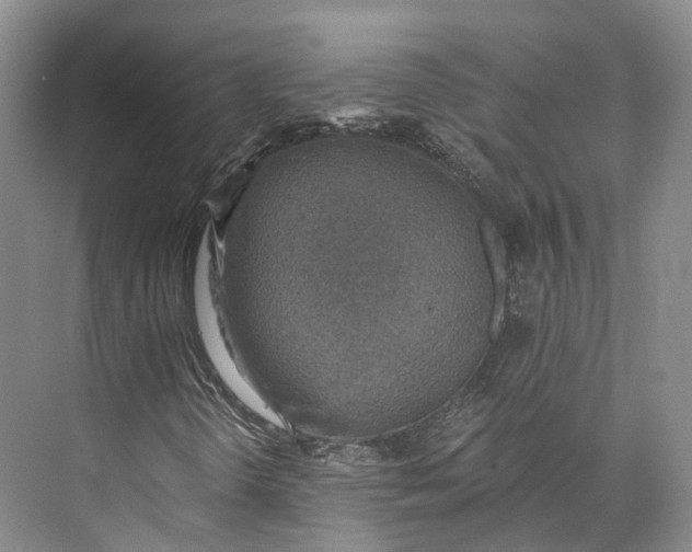 X0000072931298200608041205