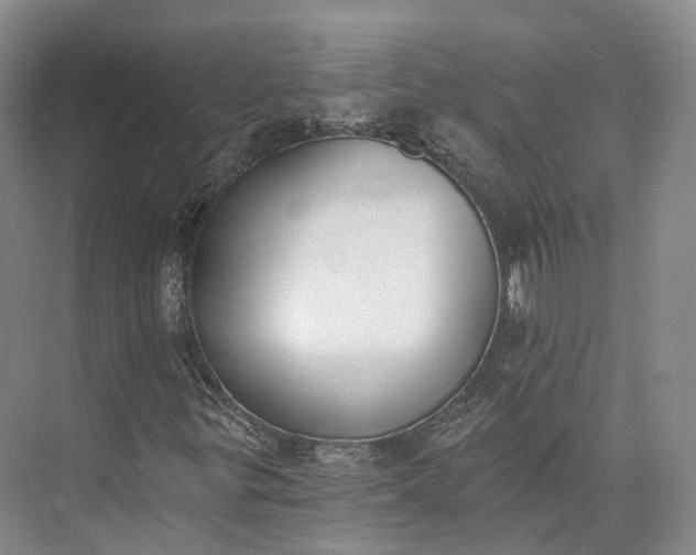 X0000072931299200608041205