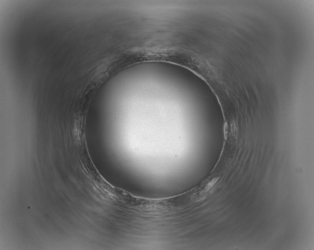 X0000072931300200608041205