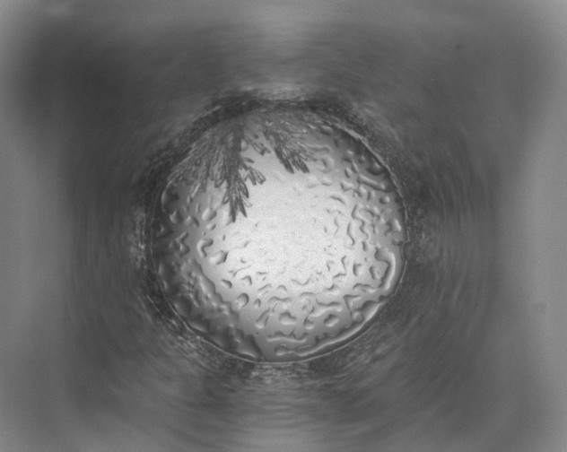 X0000072931301200608041205