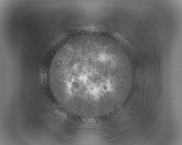 X0000072931302200608041205