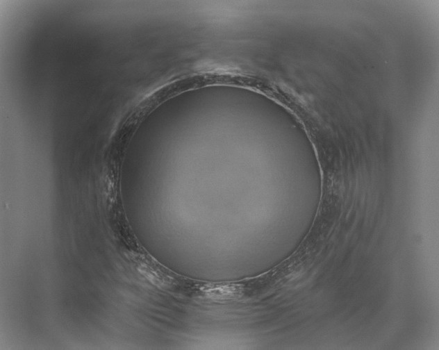 X0000072931303200608041205