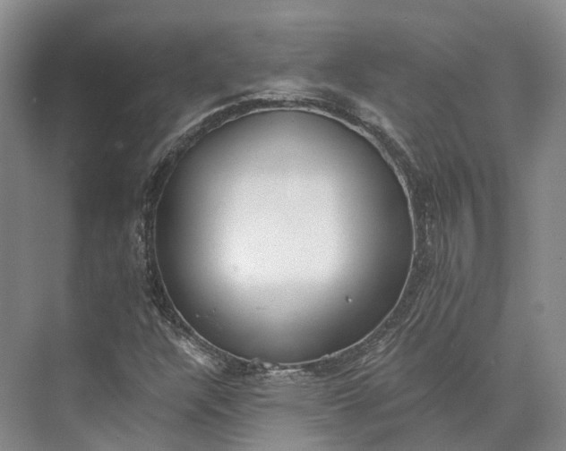 X0000072931304200608041205