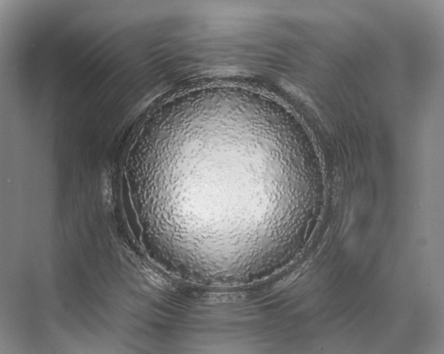 X0000072931305200608041205