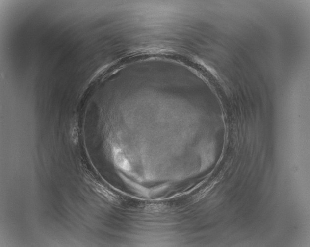 X0000072931306200608041205