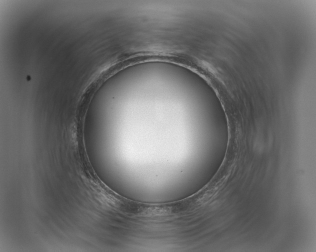 X0000072931307200608041205