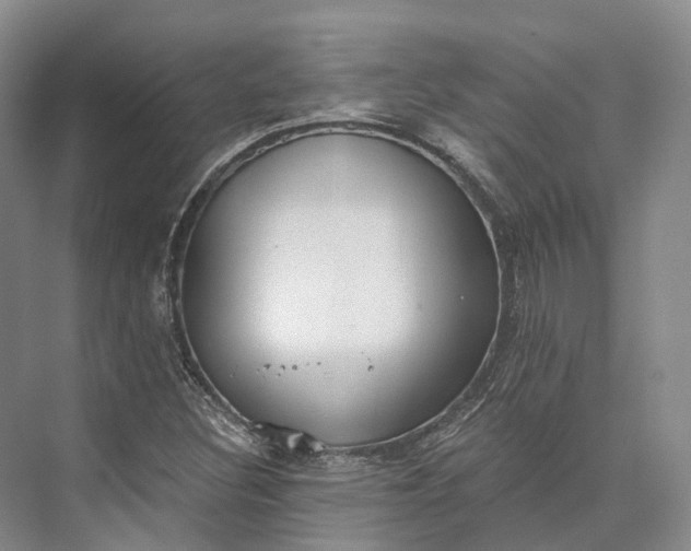 X0000072931308200608041205