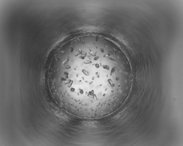 X0000072931309200608041205