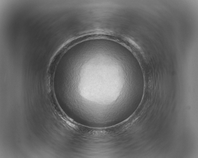 X0000072931310200608041205