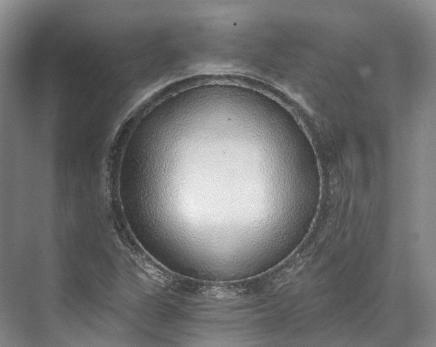 X0000072931311200608041205