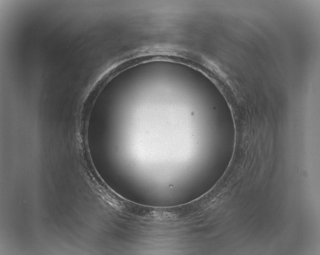 X0000072931312200608041205