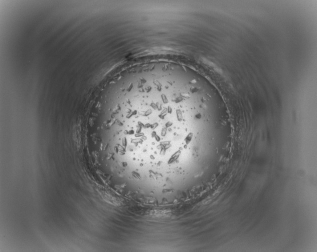 X0000072931313200608041205