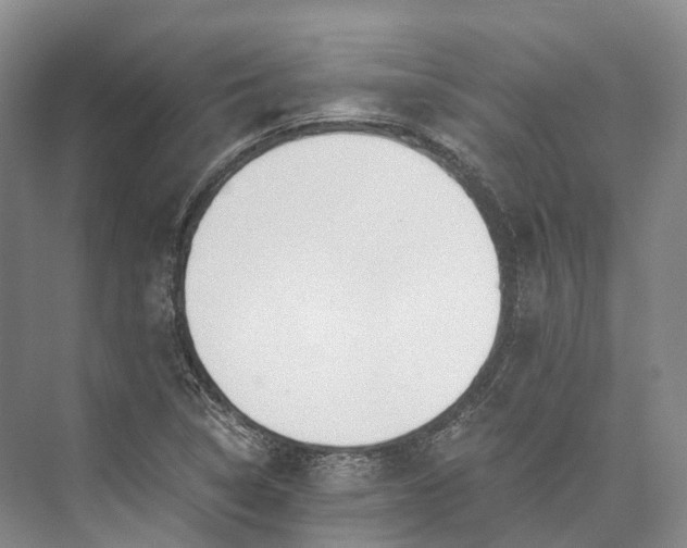 X0000072931314200608041206