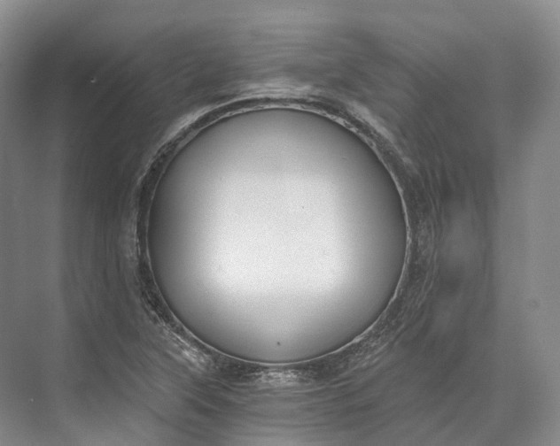 X0000072931315200608041206