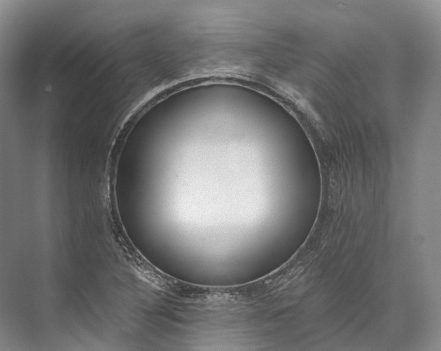 X0000072931316200608041206