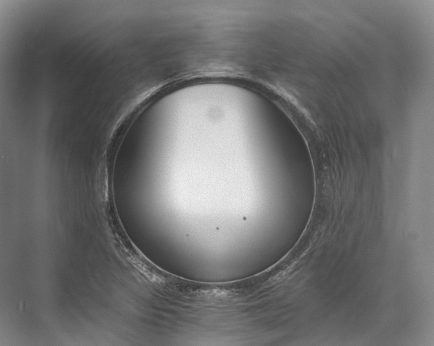 X0000072931317200608041206