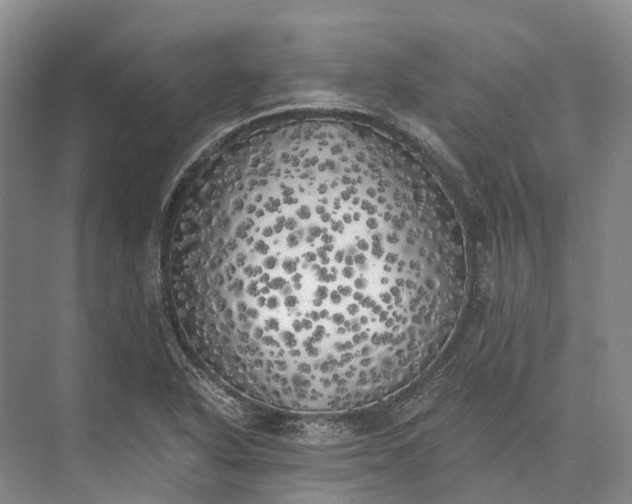 X0000072931318200608041206