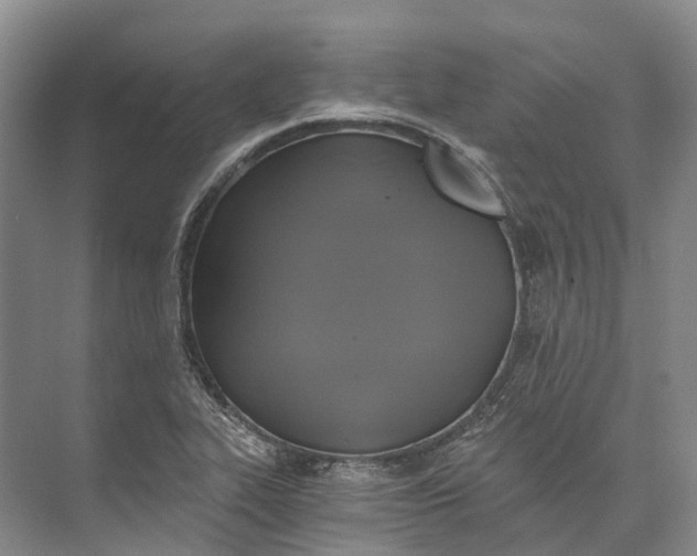 X0000072931319200608041206