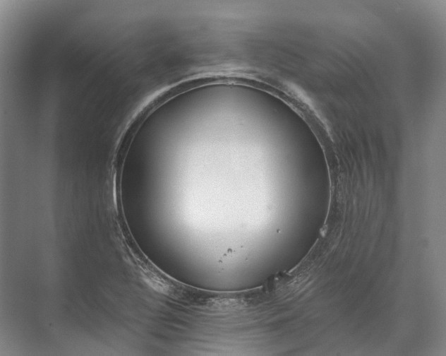 X0000072931320200608041206