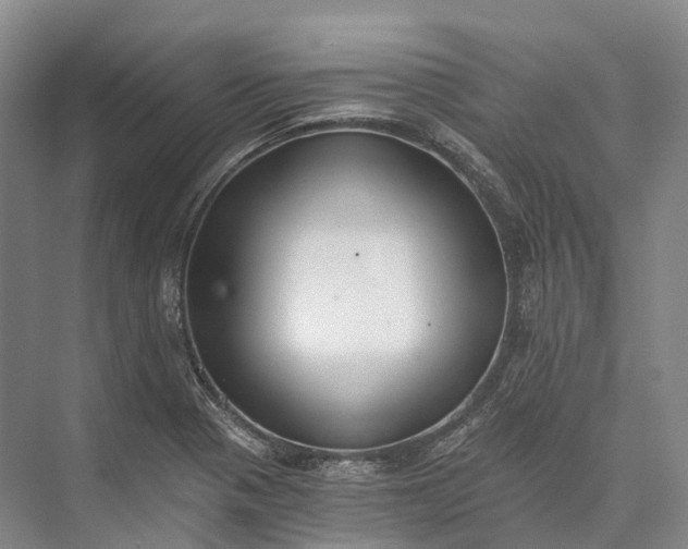 X0000072931321200608041206