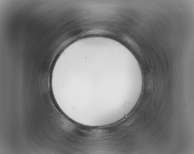 X0000072931322200608041206