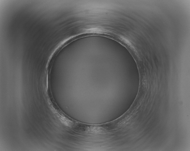 X0000072931323200608041206