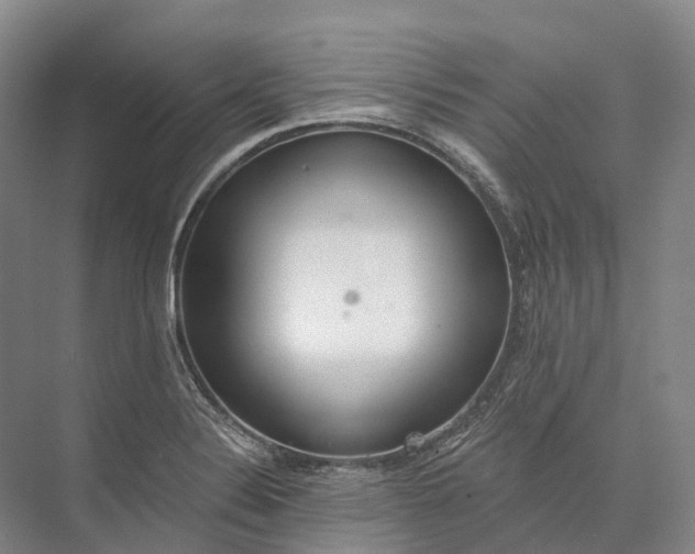 X0000072931324200608041206