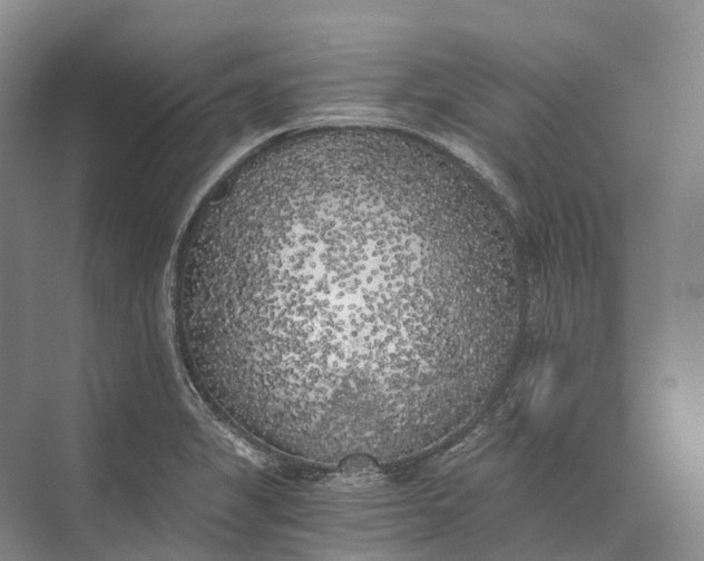 X0000072931325200608041206