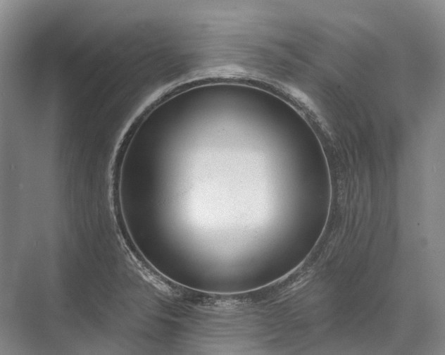 X0000072931326200608041206