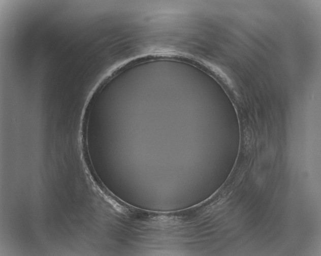 X0000072931327200608041206