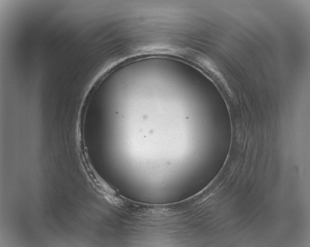 X0000072931328200608041206