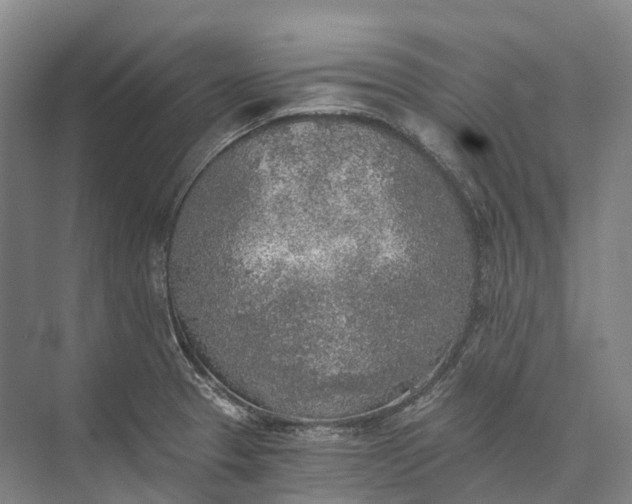 X0000072931329200608041206