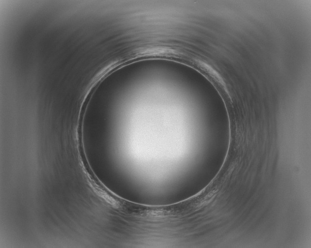 X0000072931330200608041206