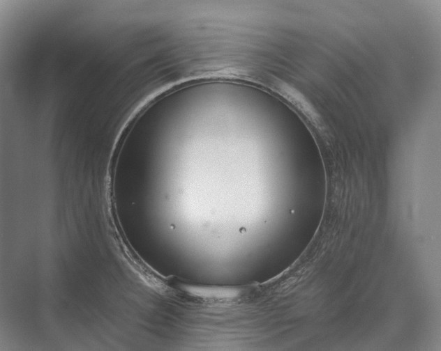 X0000072931332200608041206