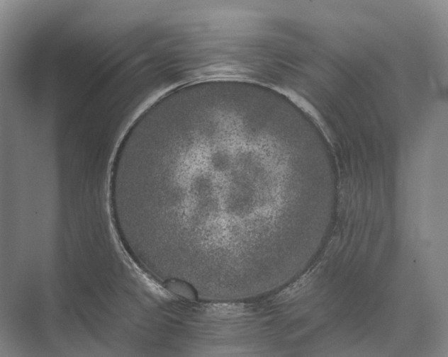 X0000072931333200608041206