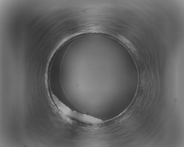 X0000072931334200608041206