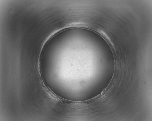 X0000072931336200608041206