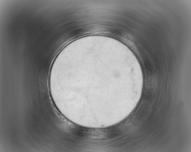 X0000072931338200608041206