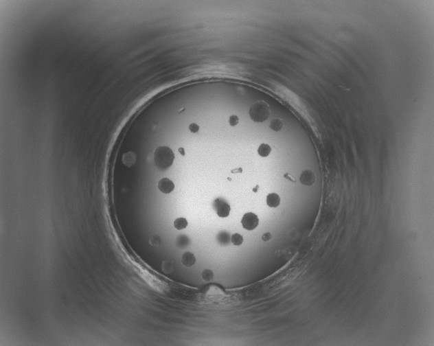 X0000072931339200608041206