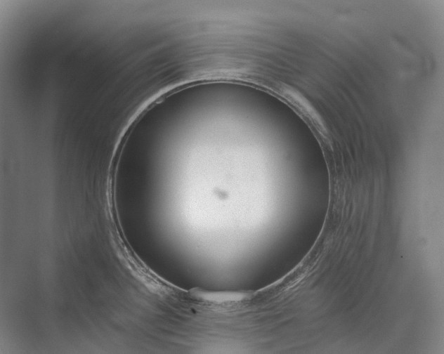 X0000072931340200608041206